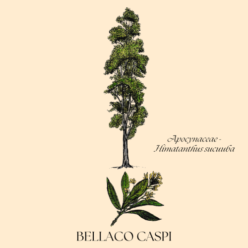 BELLCO+CASPI+botanical