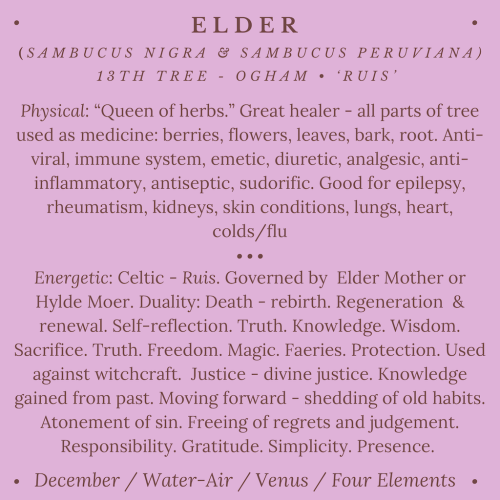 Elder+text