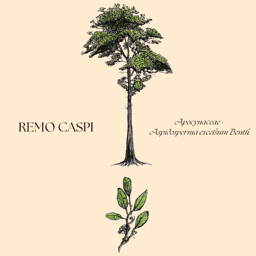 Remo+caspi+botanical