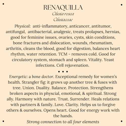 Renaquilla+text