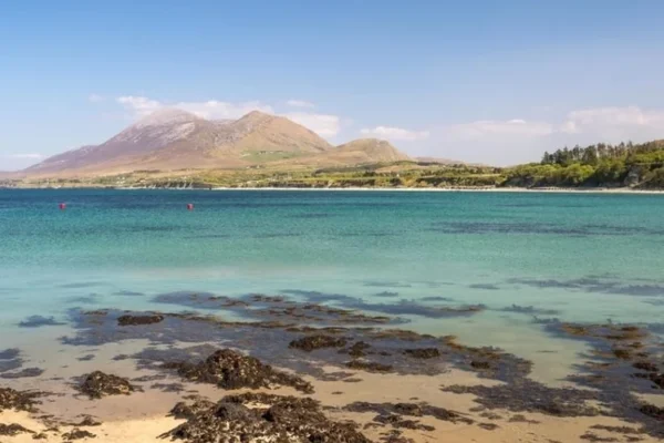 PHOTO-2023-01-12-12-35-35